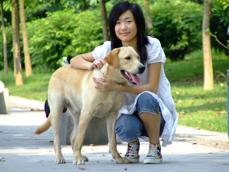 风中的绿叶的第一张照片--廊坊相亲服务中心