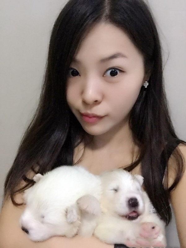 如果可以的第三张照片--廊坊相亲服务中心