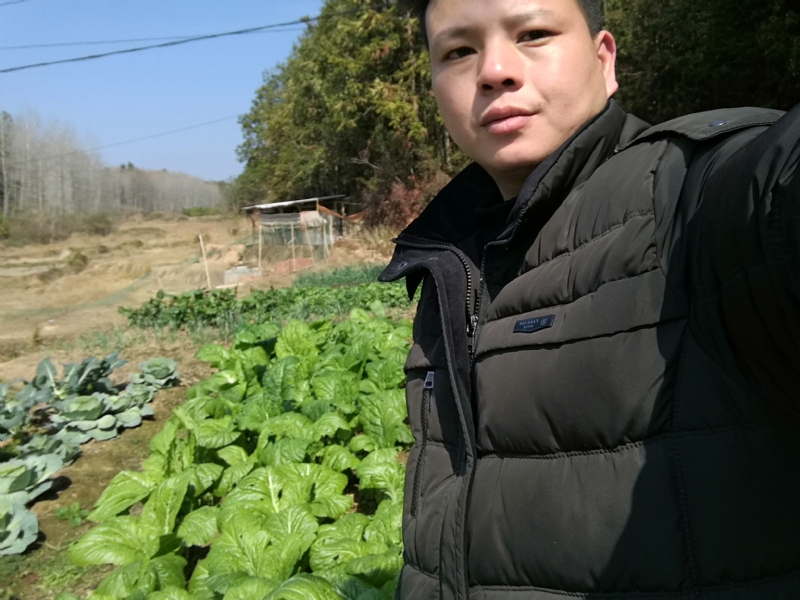 倔强的驴的第一张照片--廊坊相亲服务中心