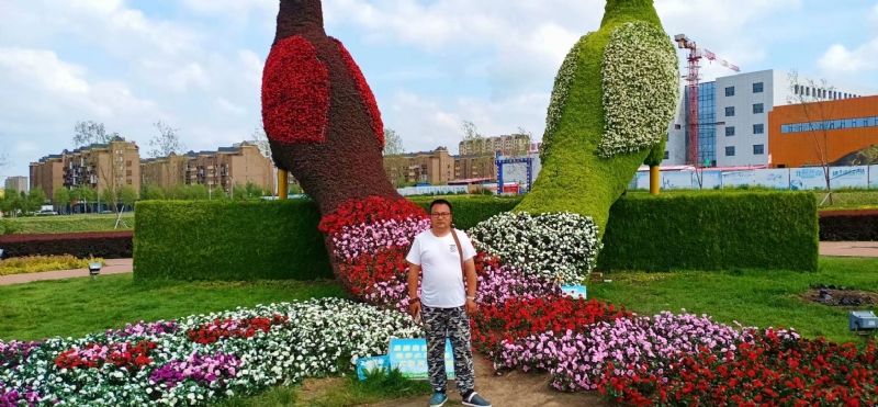 尘埃的第一张照片--廊坊相亲服务中心