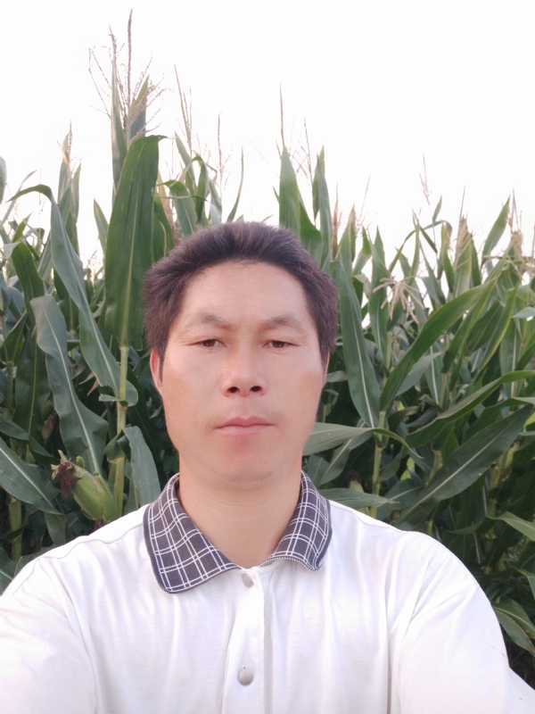 四海游龙的第一张照片--廊坊相亲服务中心