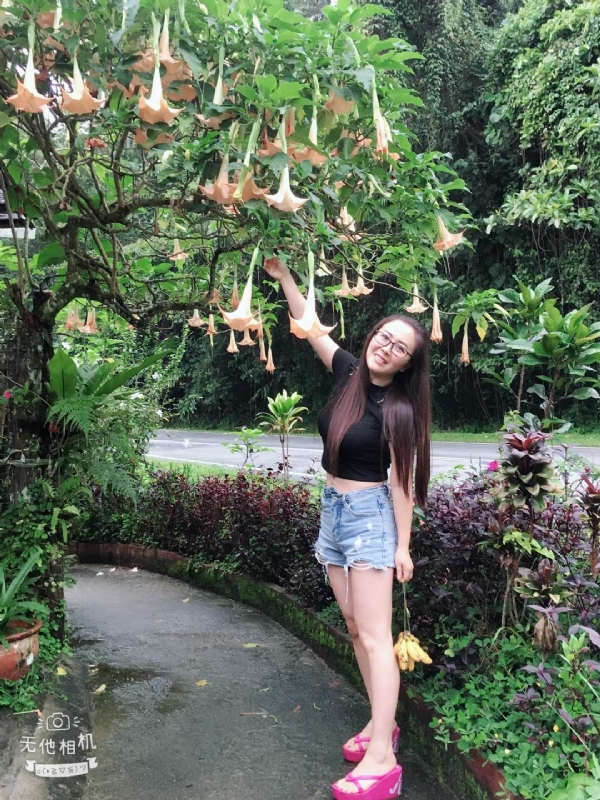 离异单身无子的第二张照片--廊坊相亲服务中心