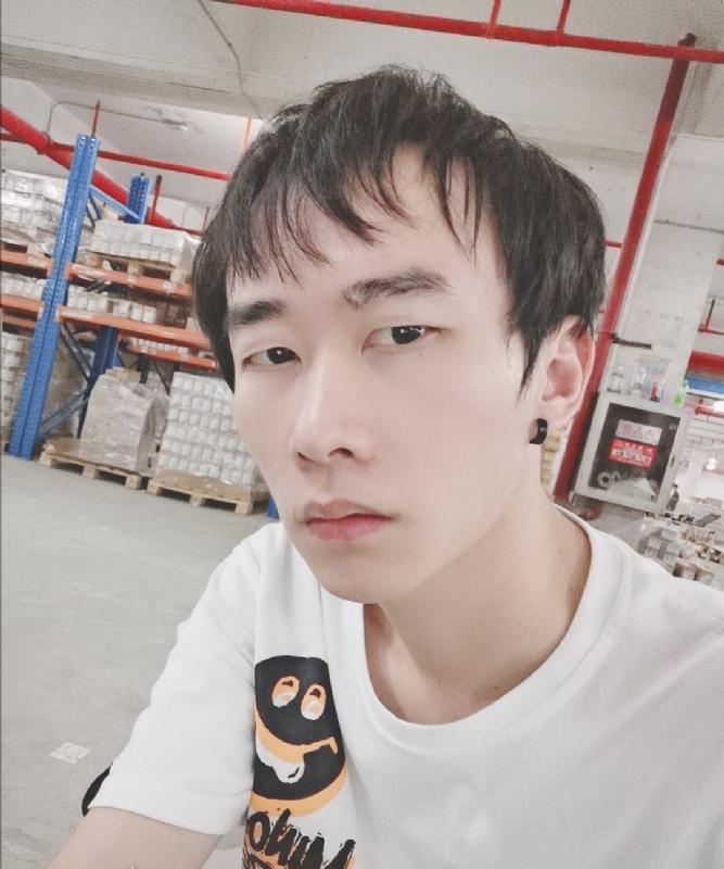 巷子里的猫的第一张照片--廊坊相亲服务中心