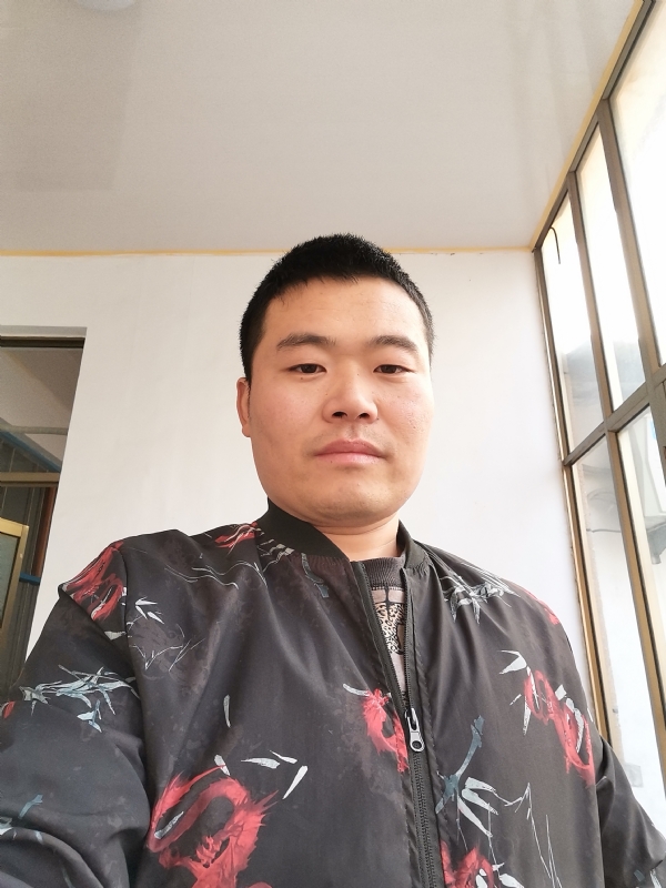 会飞的猪的第一张照片--廊坊相亲服务中心