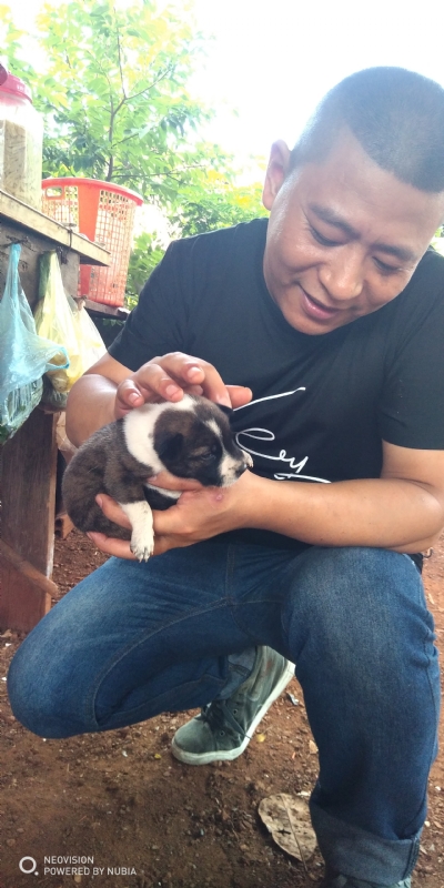 深圳相亲的第一张照片--廊坊相亲服务中心