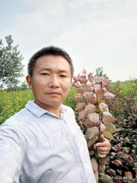 孩子爸的第二张照片--廊坊相亲服务中心