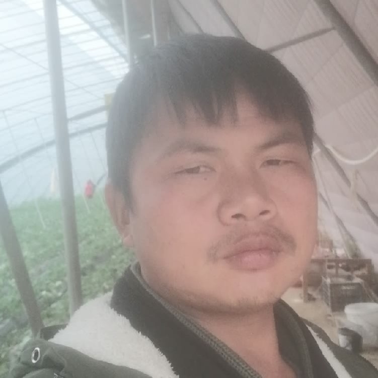 孤狼‘的第一张照片--廊坊相亲服务中心