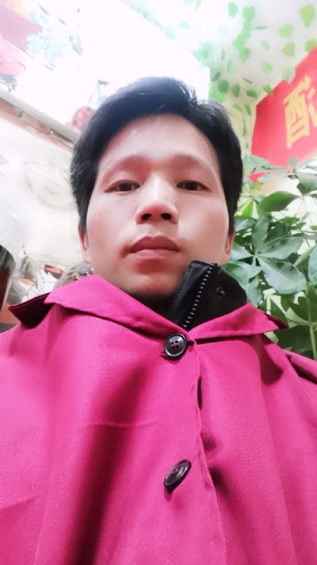 单身的林凡的第一张照片--廊坊相亲服务中心