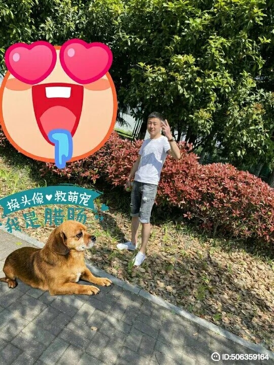 我若不坚强谁替我勇敢的第一张照片--廊坊相亲服务中心