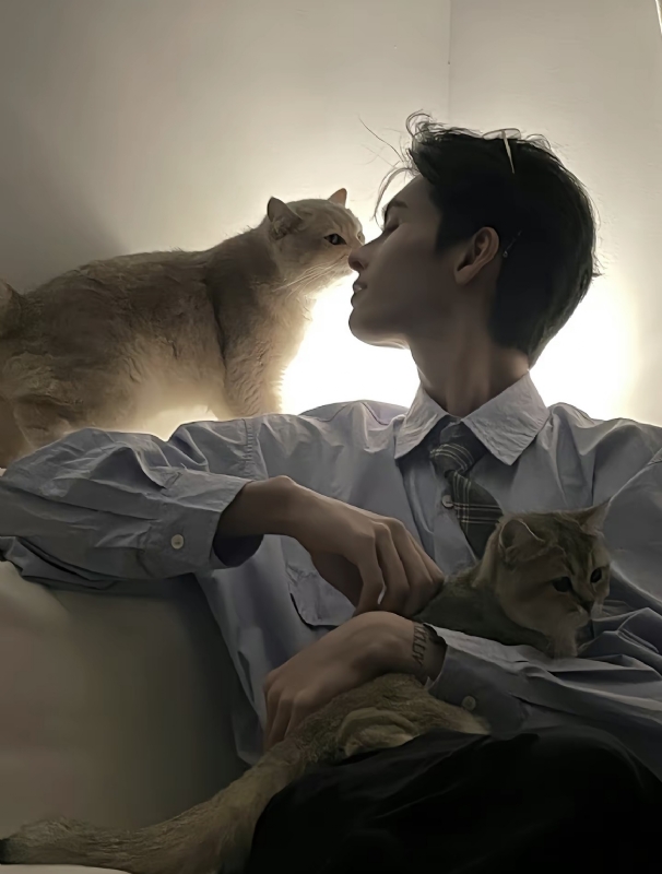 怪猫的第一张照片--廊坊相亲服务中心