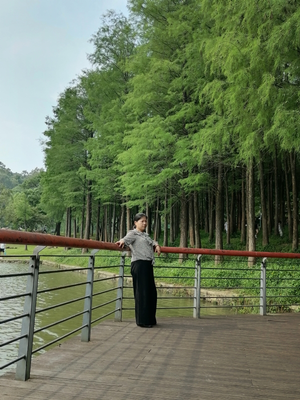 遗失的记忆的第二张照片--廊坊相亲服务中心