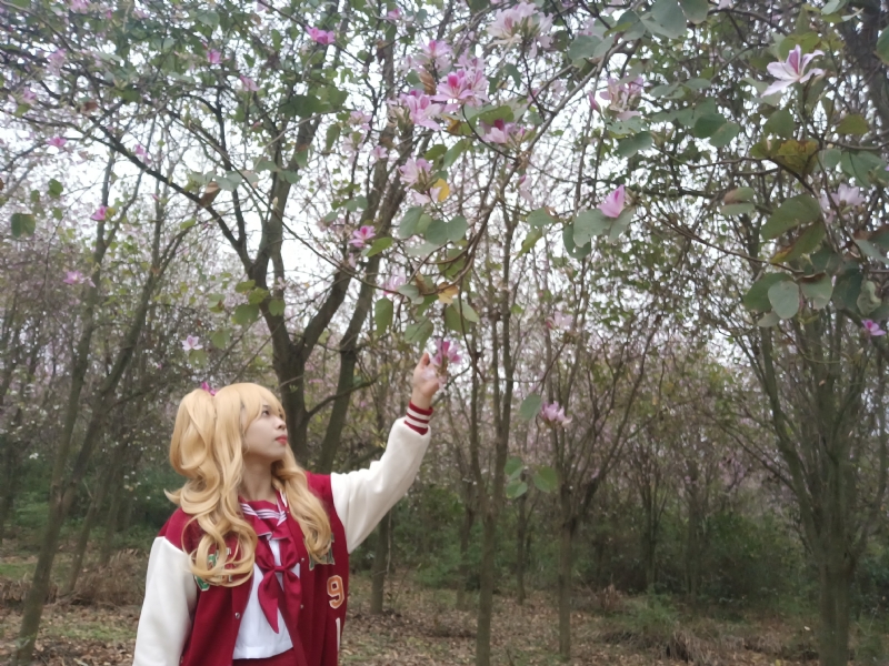 暮秋的第二张照片--廊坊相亲服务中心