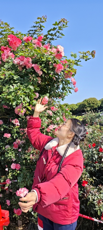 狗狗的第一张照片--廊坊相亲服务中心