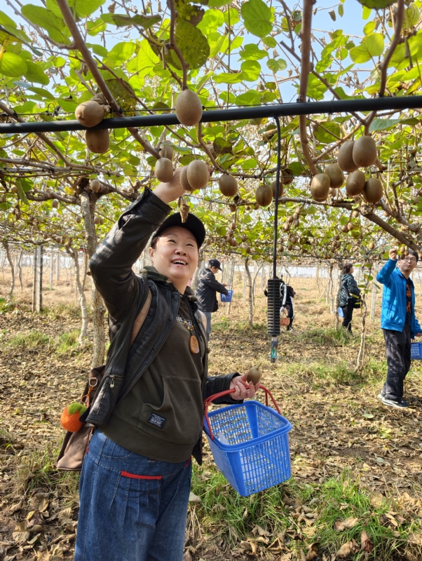夜莺的第三张照片--廊坊相亲服务中心